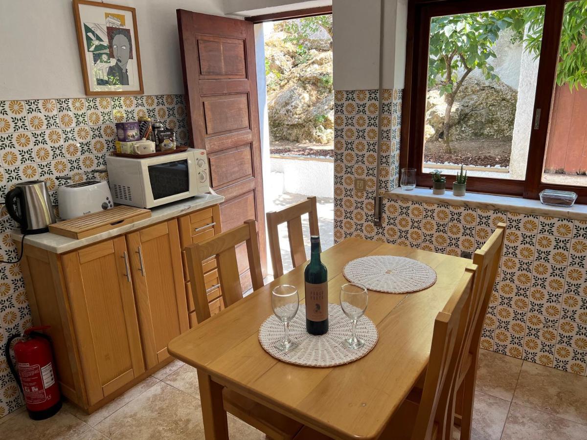 Moradia Xico'S House コインブラ エクステリア 写真